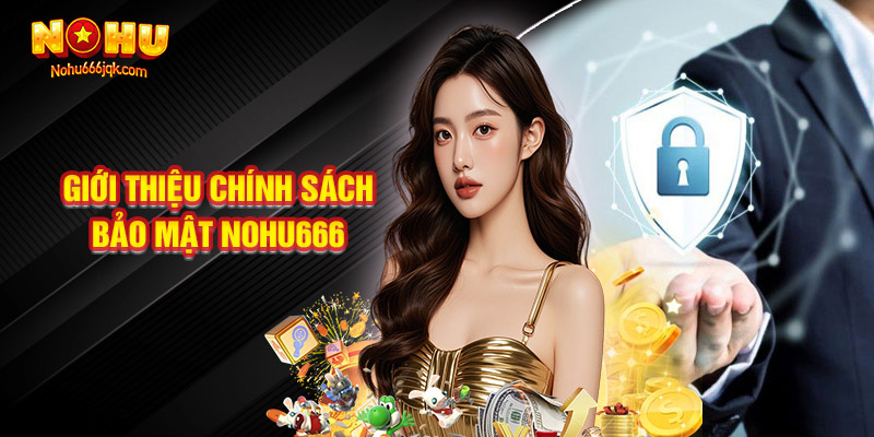Giới Thiệu Chính Sách Bảo Mật Nohu666